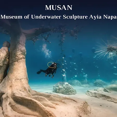 Cove Seaview - Neptune *