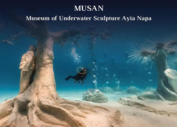 Cove Seaview - Neptune *